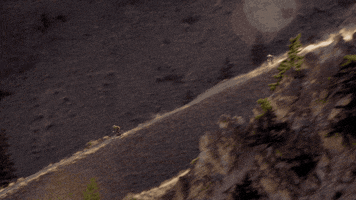 200.gif?cid=fc005b082a652a33a5771ad6919b5cec7b5aeac5d65de147&rid=200.gif&ct=g