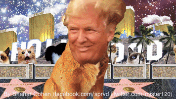6eneration trump aesthetic jimmy fallon donald trump GIF