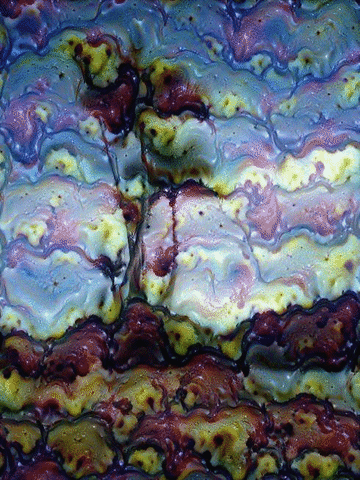 themattinthehatt deepdream GIF