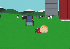 cow timmy burch GIF by South Park 