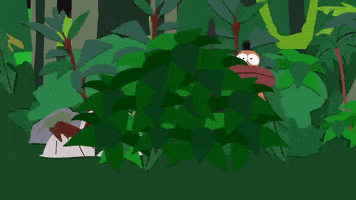 rainforest natives GIF by South Park 