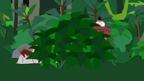 Rainforest Gifs Get The Best Gif On Giphy