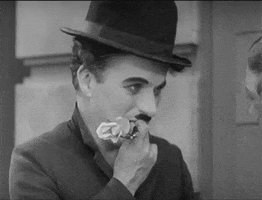 humbertomauro  GIF