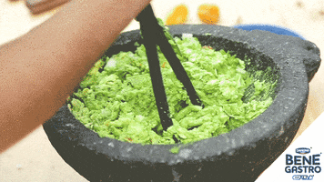 benegastromx fiesta salsa mã©xico guacamole GIF