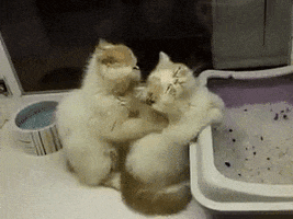 fleeur  GIF