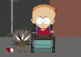 mad turkey GIF by South Park 
