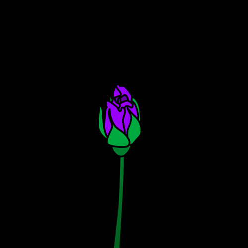 giphy.gif?cid=3640f6095be03e26556e366d6b