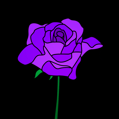 Malaea  animated GIF