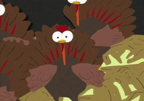 trash turkey GIF by South Park 