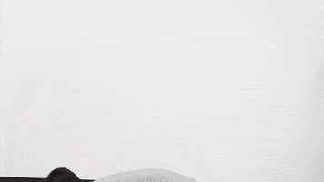 benzthanawat  GIF