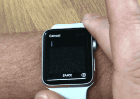 mrcippy  GIF