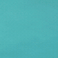 200w.gif
