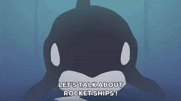 whale staring GIF by South Park 