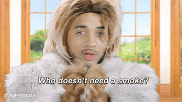 joanne the scammer wtf GIF by Super Deluxe