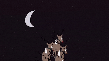 santa reindeer GIF by South Park 