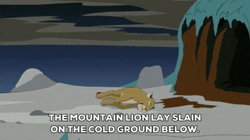 MOUNTAIN LION mountain GIF by South Park 