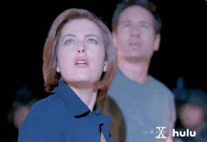 What Is That The X Files GIF by HULU