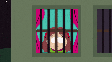 window what's that GIF by South Park 