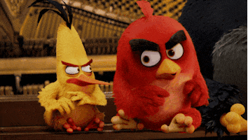 Music Video Fighting GIF by Angry Birds