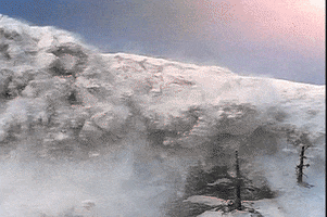 Text gif. Snow avalanche of multiple "Awesome" words fall over a tree.