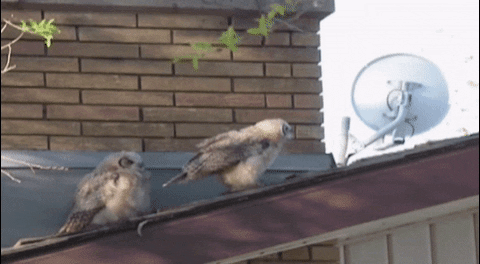 Poop-and-run-forever GIFs - Get the best GIF on GIPHY