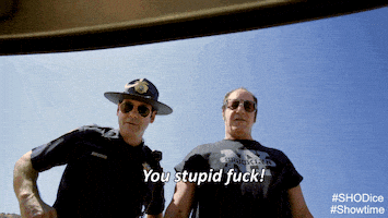 season 1 lol GIF by Showtime