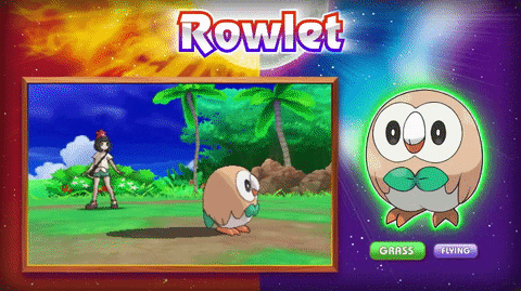 Pokemon Tcg Gifs Get The Best Gif On Giphy