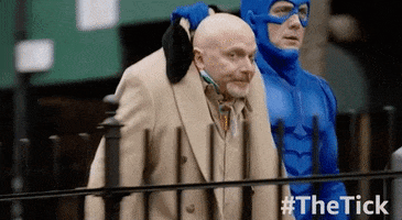 ramses iv GIF by The Tick