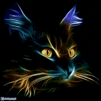 Cat Distort GIF by Psyklon