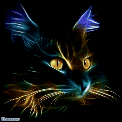 Cat Distort GIF by Psyklon - Find & Share on GIPHY