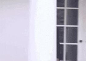 opamid  GIF