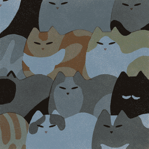Wake Up Cat GIF by Jeannie Phan