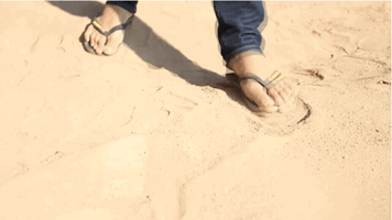 phtsint  GIF