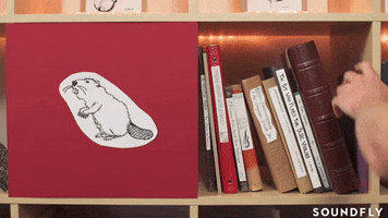 bookshelf music learning GIF by Soundfly