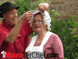 bryancutts nursery rhymes 3 blind mice entertainment blue mountains mouseterchef GIF