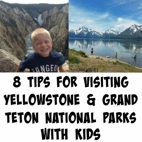 coffeewithus3 nature yellowstone national parks grand teton GIF