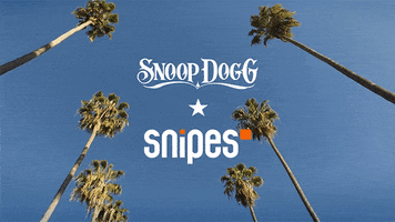 snoop blue sky GIF by Snipes