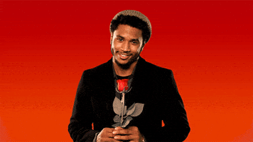 Give Rose GIFs - Get the best GIF on GIPHY
