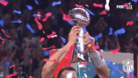 Super Bowl Win GIF by NFL - Find & Share on GIPHY