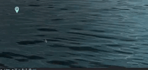 chiscoleiton  GIF