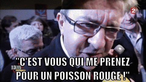 Cool Rigolo Gif Chat Humour Abdofolio