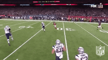 New England Patriots GIF by NFL
