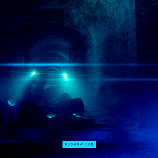 John Wick Lionsgate GIF by John Wick Chapter 2 Find & Share on GIPHY