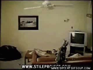 Https Encrypted Tbn0 Gstatic Com Images Q Tbn 3aand9gcs58arix53xcfkhikstdeagucvwkdmtl4b R94fzumgd8wypntv