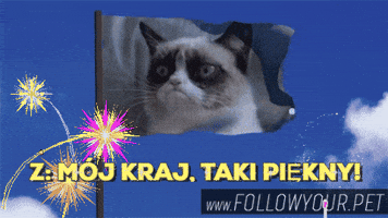followyourpet funny cute lol psy GIF