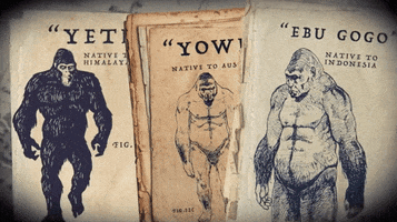 bigfoot: the convincing evidence GIF by BuzzFeed
