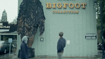 Bigfoot Collection GIF by BuzzFeed