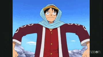one piece kung fu dugong GIF by Funimation