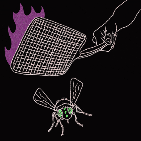 Nft Fly GIF by Mental Barf