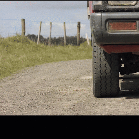 Good Morning GIF